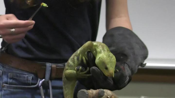 Thumbnail image for Zoo Animals at Canton Public Library May 2026