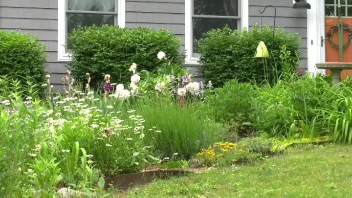 Thumbnail image for Canton Garden Club Garden Tour 2026